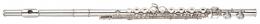 Изображение продукта Yamaha YFL-412